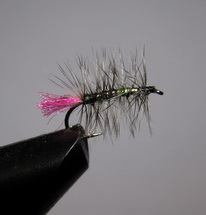 ���� ������ PLM 016 grizzly - peacock  # 14